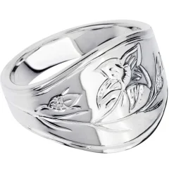 Landskapsring Dalarna