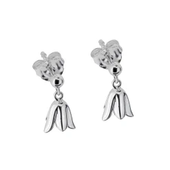 Örhängen blåklocka, ängsklocka