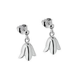 Örhängen med blåklocka, ängsklocka