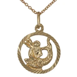 Stjärntecken halsband vattuman äkta guld 9 karat