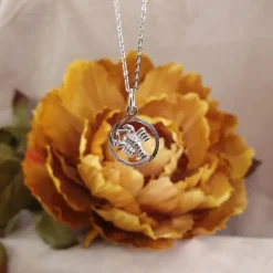 Stjärntecken kräftan