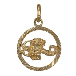 Stjärntecken skorpion smycke äkta guld 9 karat