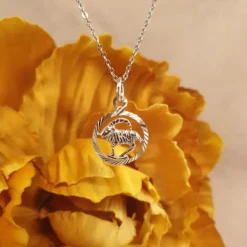 Stjärntecken stenbock