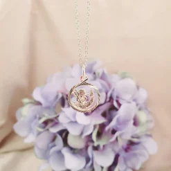 Stjärntecken vattuman