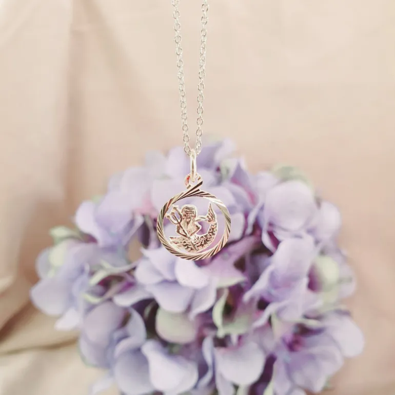 Stjärntecken vattuman