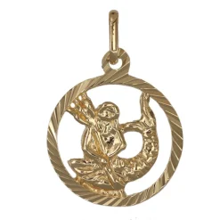 Stjärntecken vattuman smycke äkta guld 9 karat