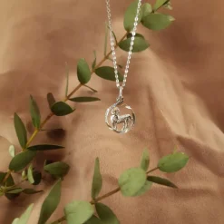 Stjärntecken vädur